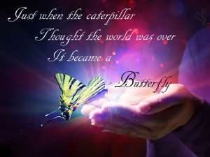 Butterfly Funeral Quote - Swanborough Funerals