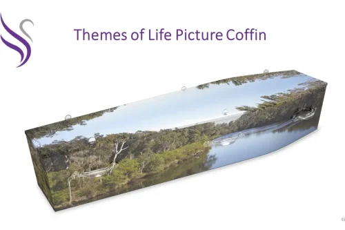 Picture Coffin