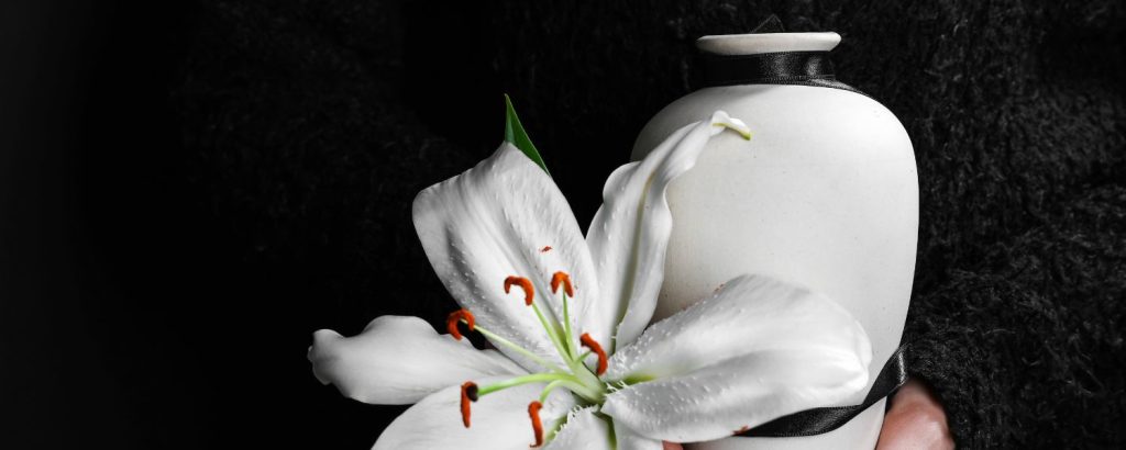 direct cremation,
direct cremation australia,
direct cremation brisbane