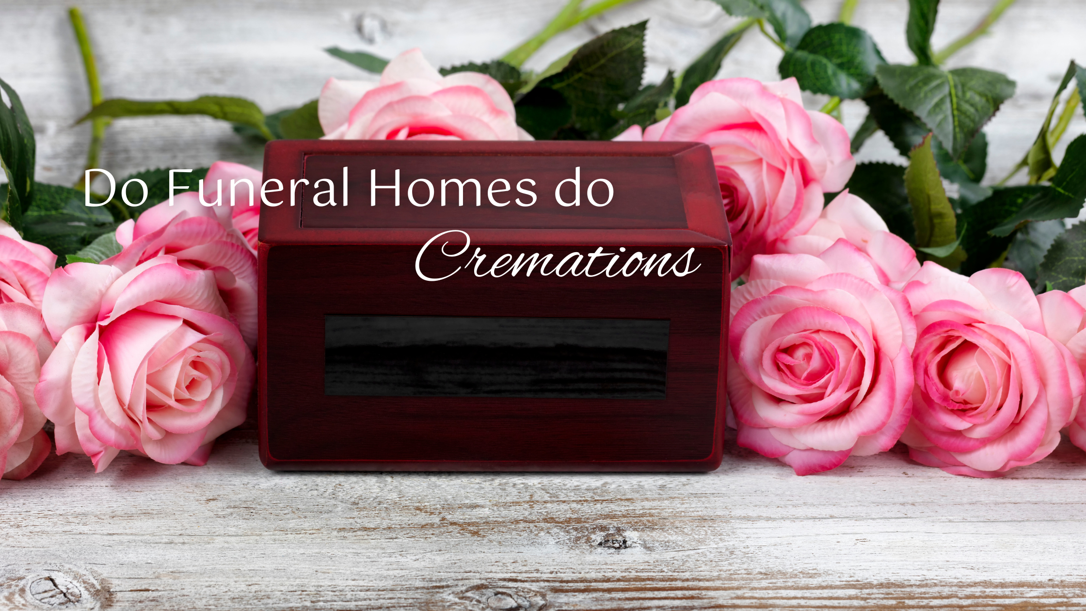 Compassionate cremation services at Swanborough Funerals