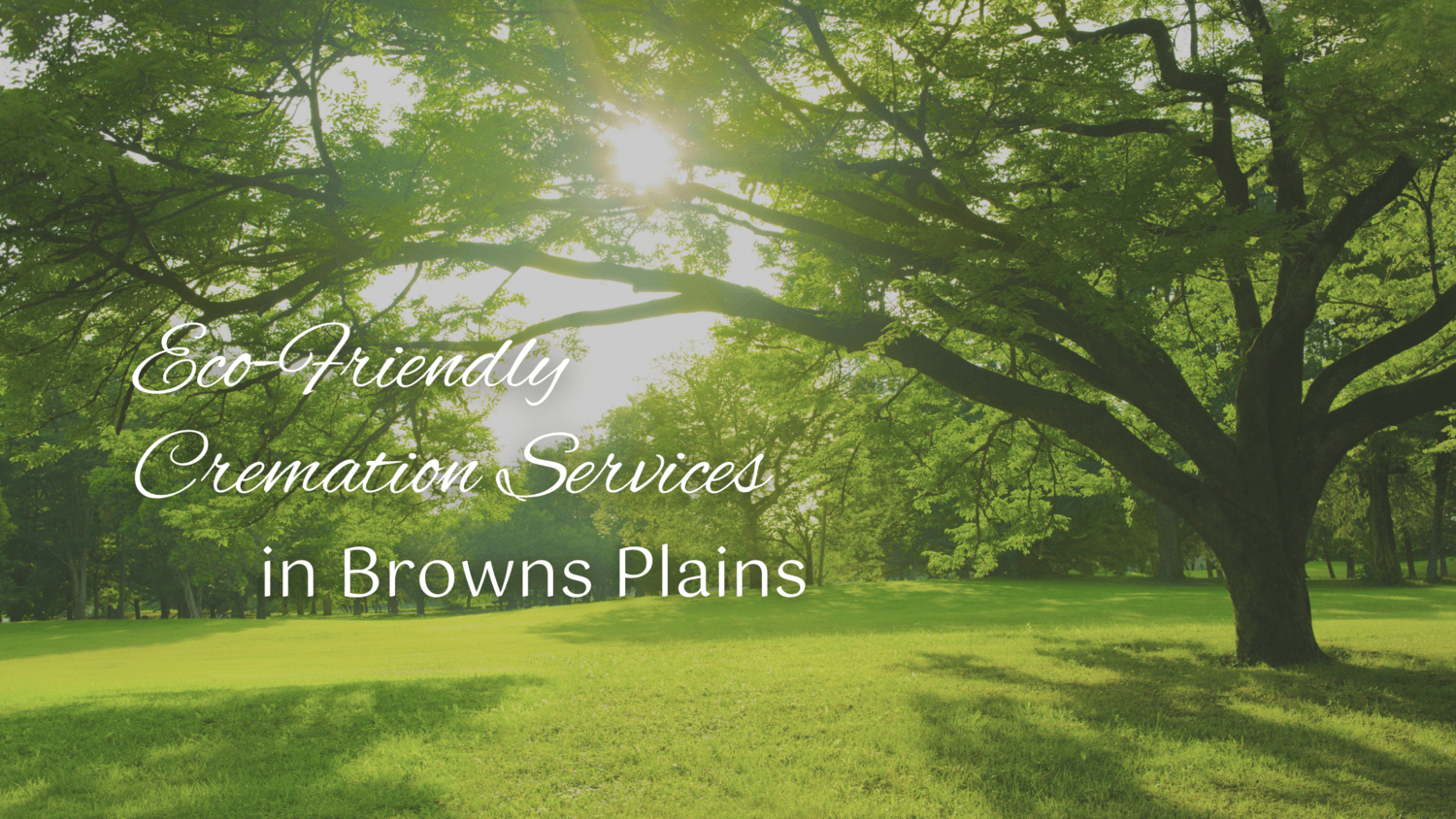 Eco-friendly cremation services in Browns Plains