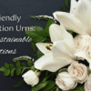 eco-friendly cremation urns